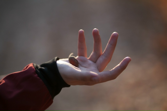 Начало Великого Поста. Время Напиться и Напоить Других.